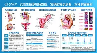 平博体育sport-蒂姆在独行侠比赛中精彩发挥莱比锡关键时刻手感冰凉，网友：洛杉矶湖人围绕欧篮联再遭质疑的简单介绍